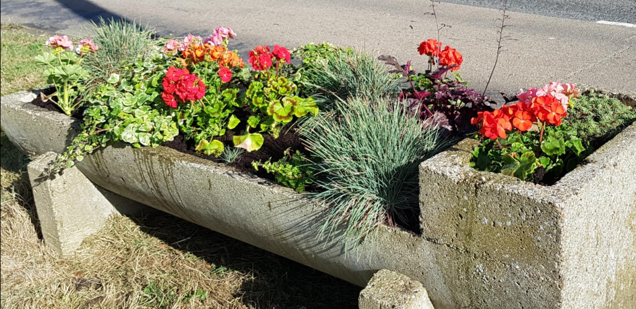 Planters Outside Pickwick Motors